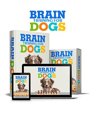 Brain Training For Dogs