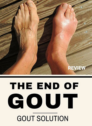 The End of Gout at a glance